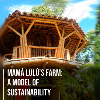 Mamá Lulú’s Farm: a Model of Sustainability