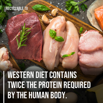 Western diet